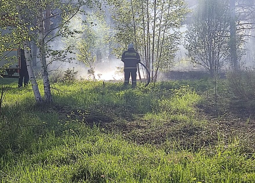 В лесу под Тверью тушат пожар