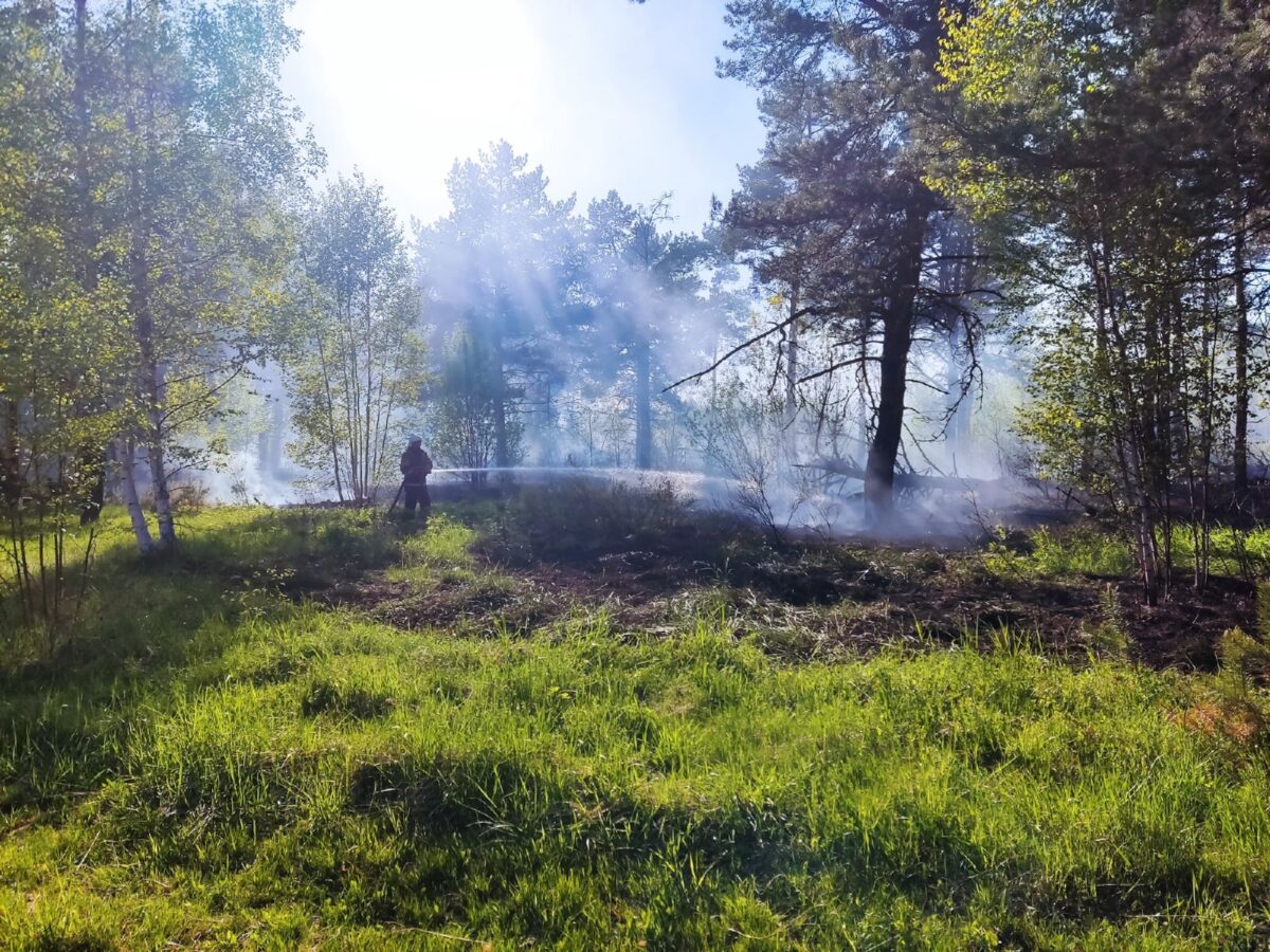 В лесу под Тверью тушат пожар