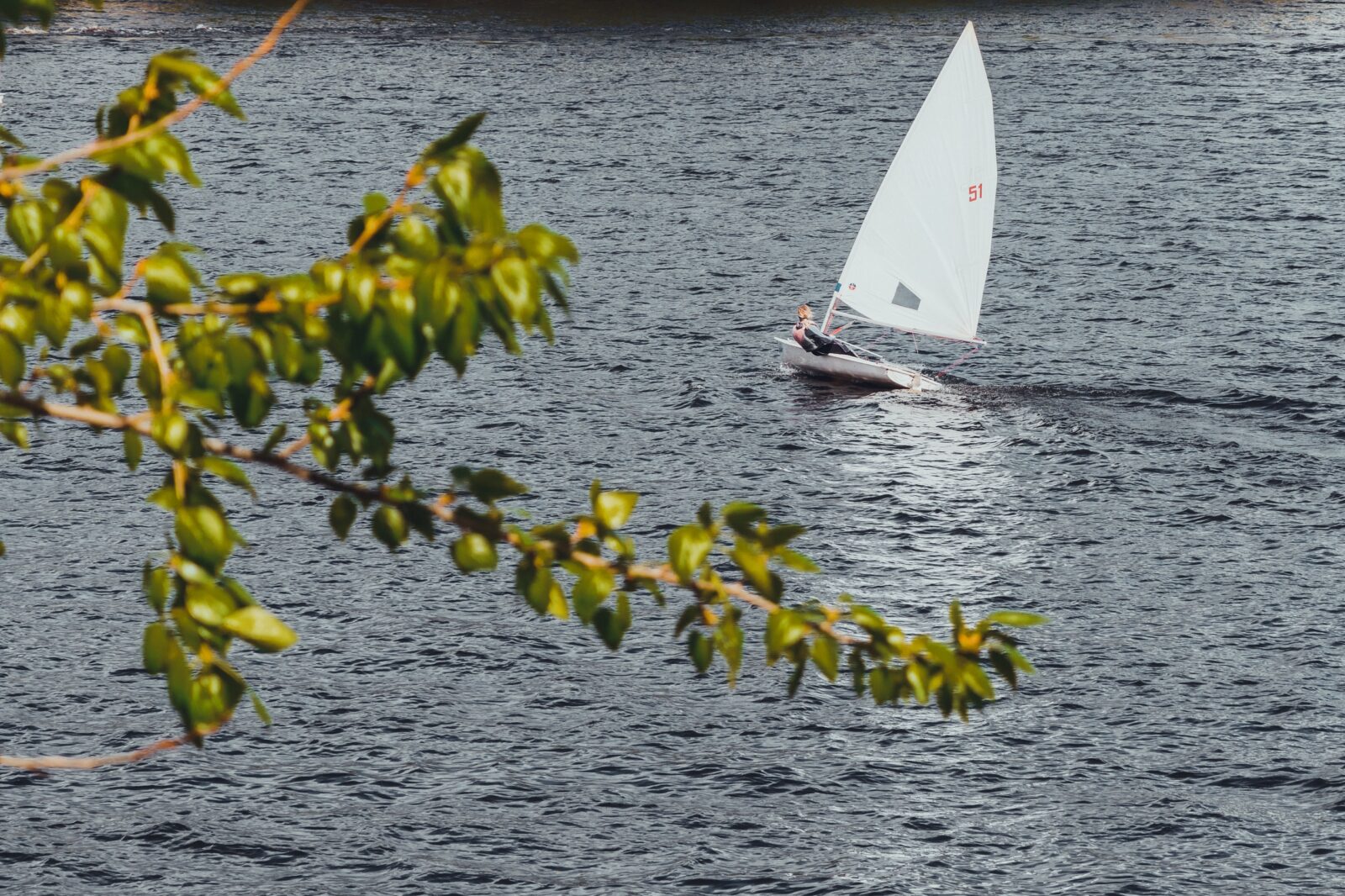 Синоптики рассказали о погоде на ближайшие выходные в Тверской области