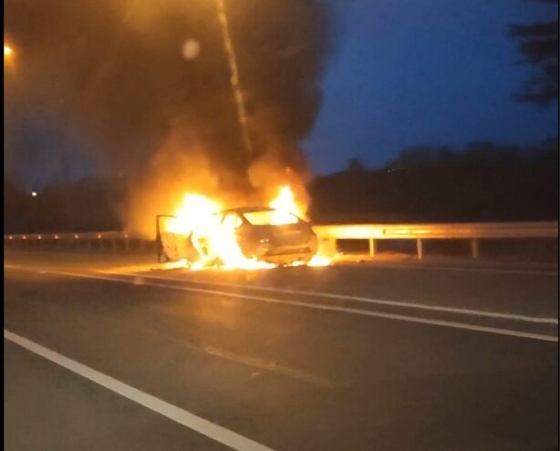 На трассе в Тверской области вспыхнула иномарка