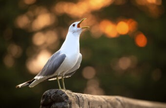В Тверскую область, наконец-то, приходит лето