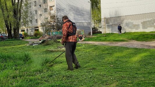 Терпеливый пес из Конакова не устает ждать своего хозяина