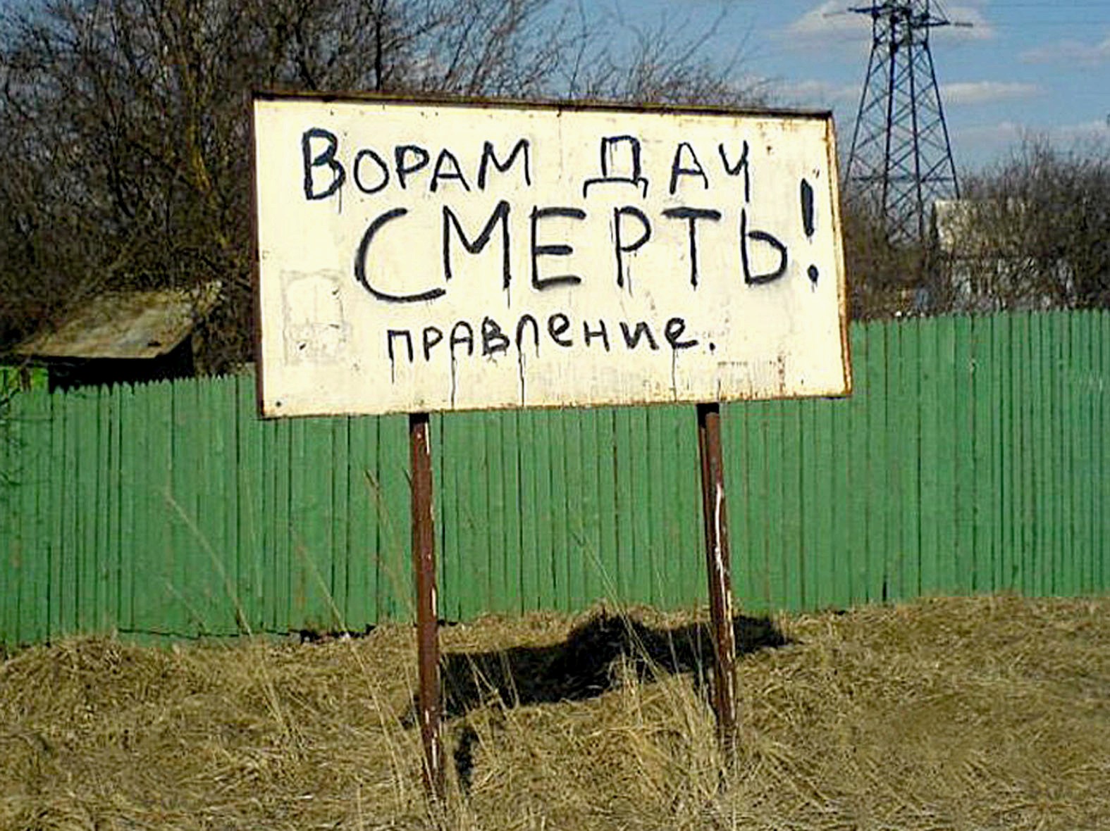 В Тверской области поймали серийного дачного вора