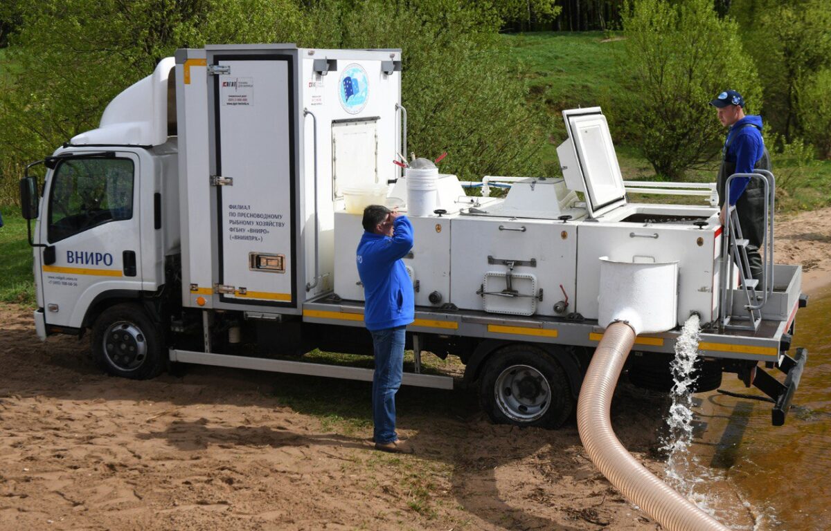 Губернатор Игорь Руденя и глава Росрыболовства Илья Шестаков приняли участие в зарыблении Волги