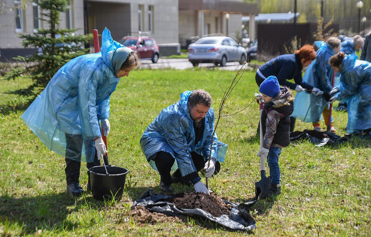 Представители власти и многодетные семьи высадили дубы у перинатального центра в Твери