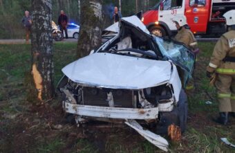 В Тверской области погиб водитель съехавшего с дороги автомобиля