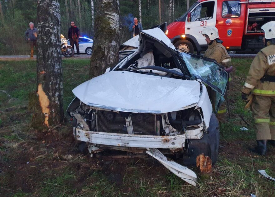 В Тверской области погиб водитель съехавшего с дороги автомобиля В Тверской области погиб водитель съехавшего с дороги автомобиля