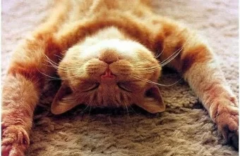 Впереди у россиян ещё одни длинные выходные Впереди у россиян ещё одни длинные выходные