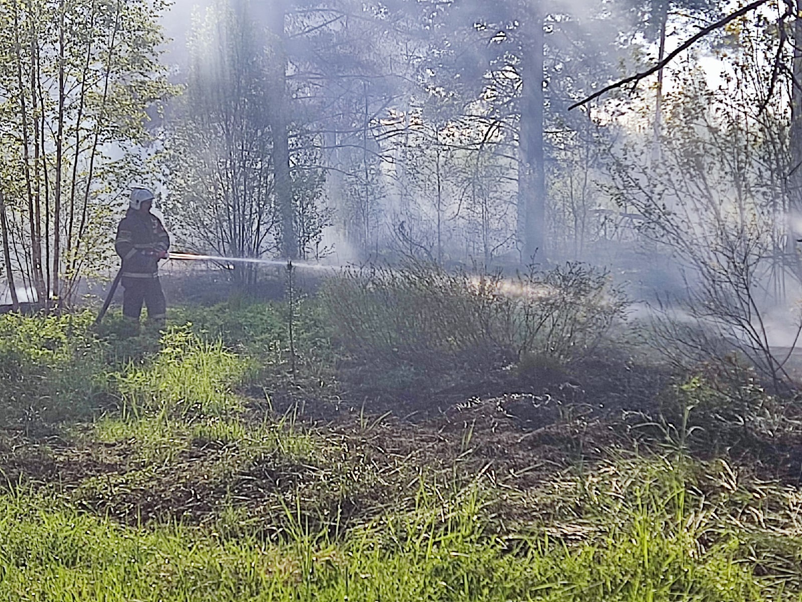 В лесу под Тверью тушат пожар