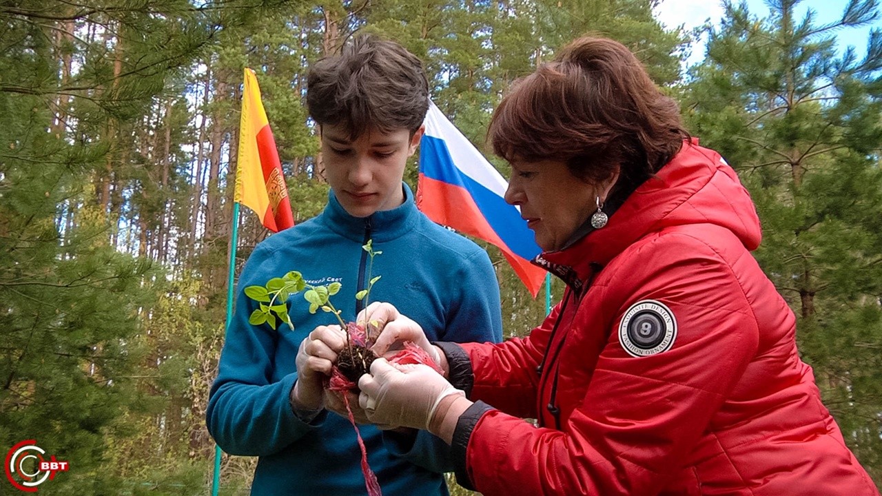 Вышневолоцкий округ присоединился к акции "Сад памяти"