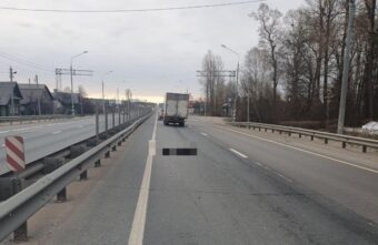 Пешеход погиб под колёсами машины на трассе под Тверью