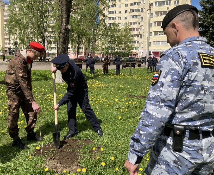 Судебные приставы и юнармейцы посадили в Твери дубраву