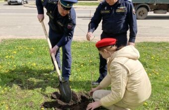 Судебные приставы и юнармейцы посадили в Твери дубраву Судебные приставы и юнармейцы посадили в Твери дубраву