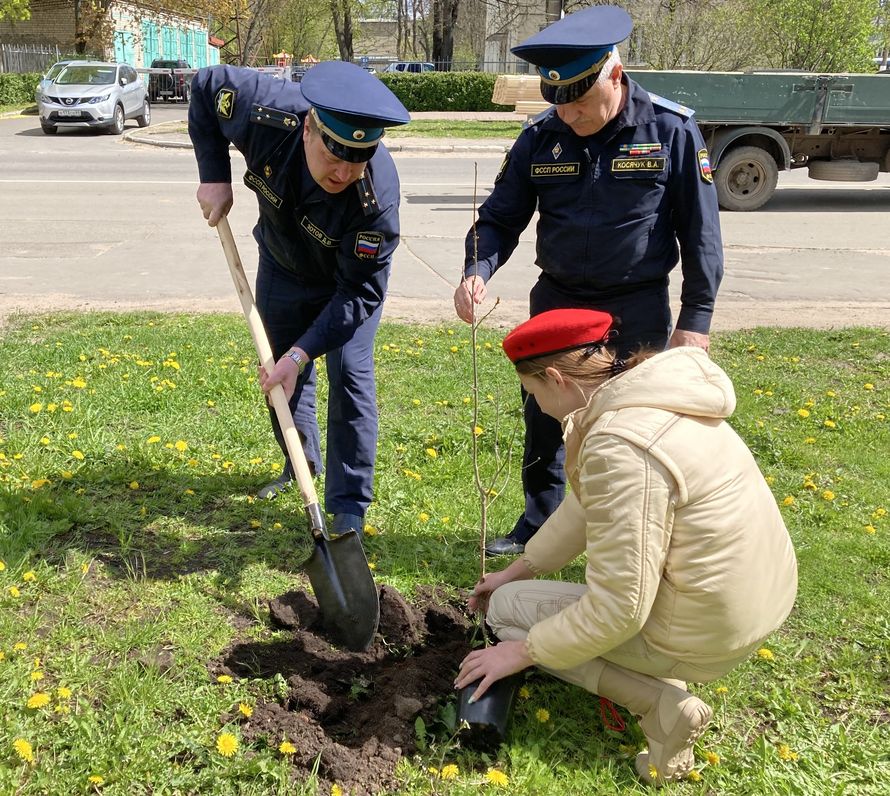 Судебные приставы и юнармейцы посадили в Твери дубраву