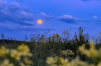 "Клубничная" луна сегодня ночью светила в Тверской области