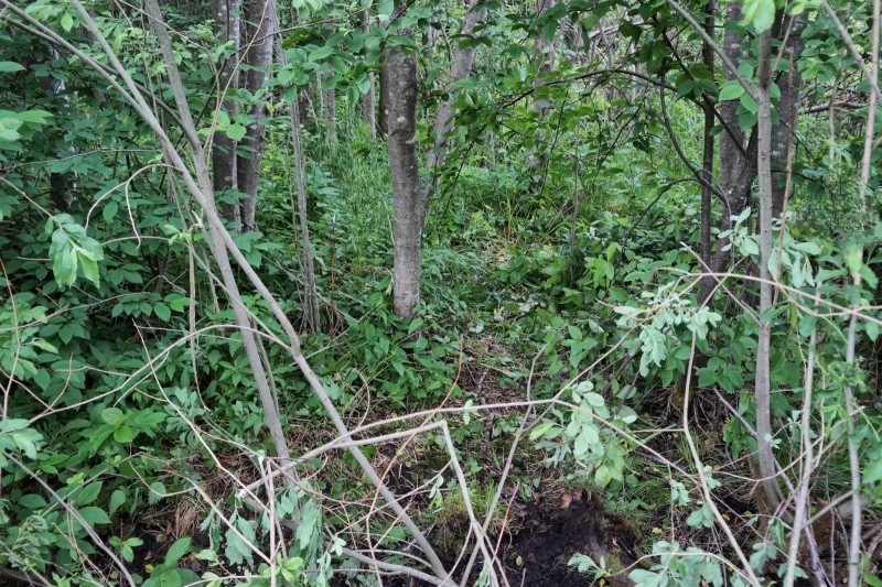 В Тверской области по горячим следам задержали насильника и убийцу