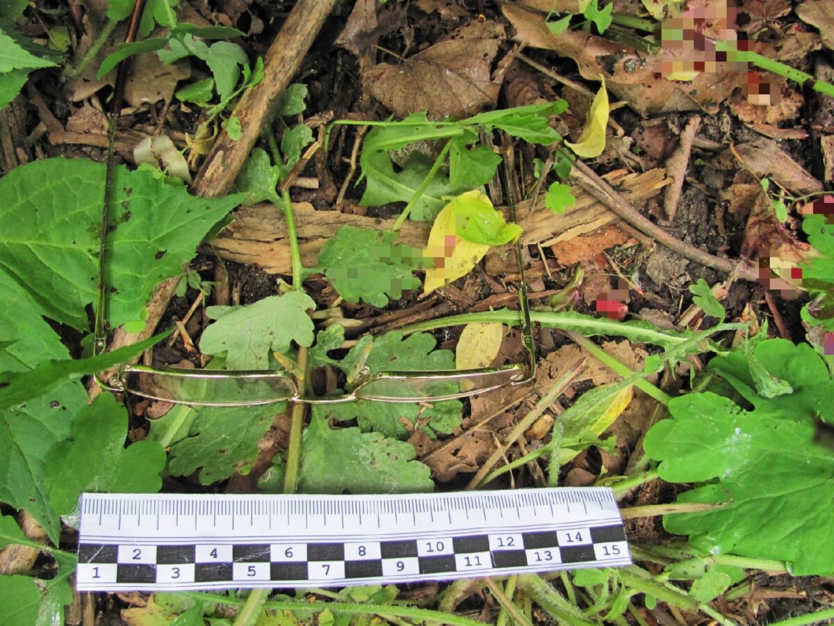 Стало известно, как убили женщину возле подъезда в Тверской области