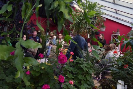 Тверской императорский дворец приглашает на День дворцовой оранжереи Тверской императорский дворец приглашает на День дворцовой оранжереи