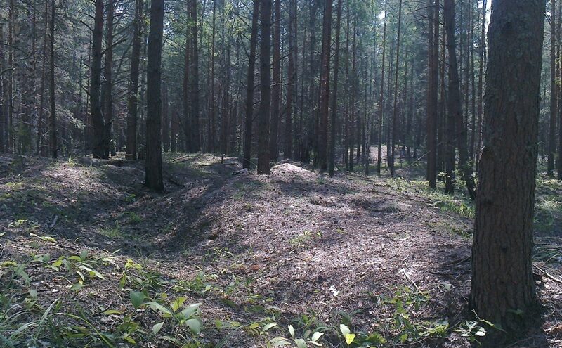 В деревне под Тверью нашли авиабомбу