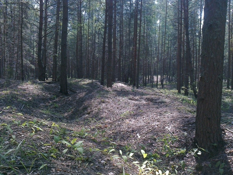 В деревне под Тверью нашли авиабомбу