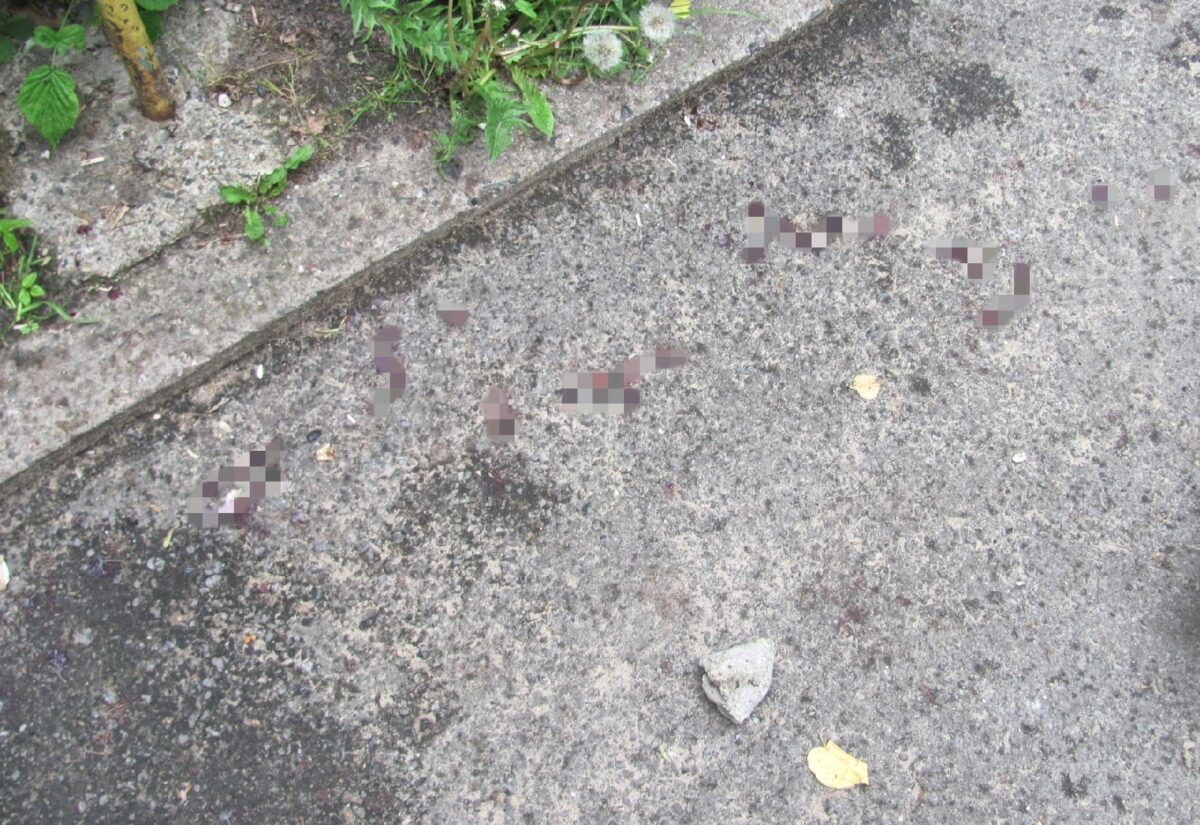 Стало известно, как убили женщину возле подъезда в Тверской области