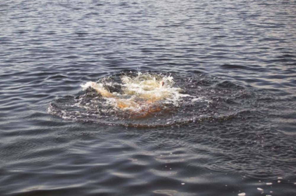 В Тверской области утонул 17-летний подросток