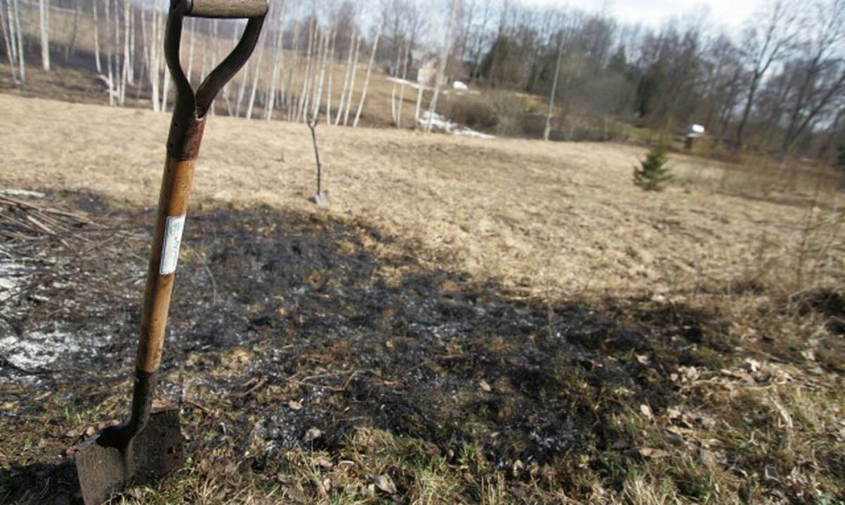 В Тверской области будут судить мужчину, который убил приятеля и закопал