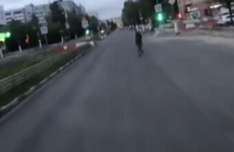 Семья лосей гуляет по улице в Твери Семья лосей гуляет по улице в Твери