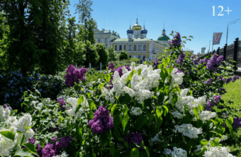 Сиреневый сад продолжает радовать жителей и гостей города Твери Сиреневый сад продолжает радовать жителей и гостей города Твери