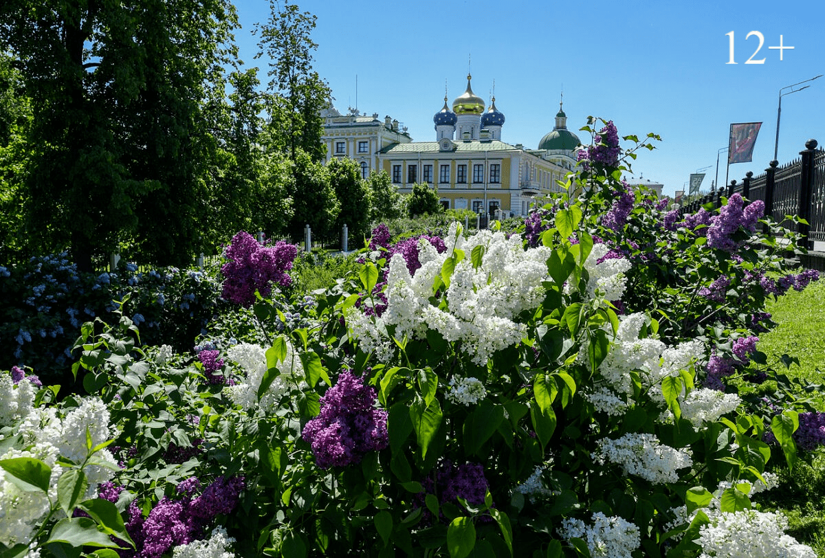 Вести Твери