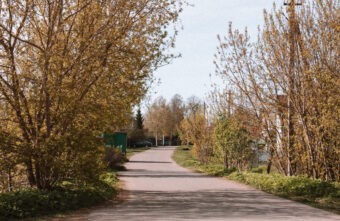 Под Тверью на глазах у детей «гонщик» сбил домашнее животное Под Тверью на глазах у детей «гонщик» сбил домашнее животное