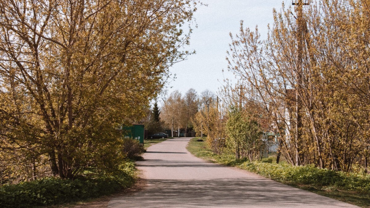 Под Тверью на глазах у детей «гонщик» сбил домашнее животное Под Тверью на глазах у детей «гонщик» сбил домашнее животное