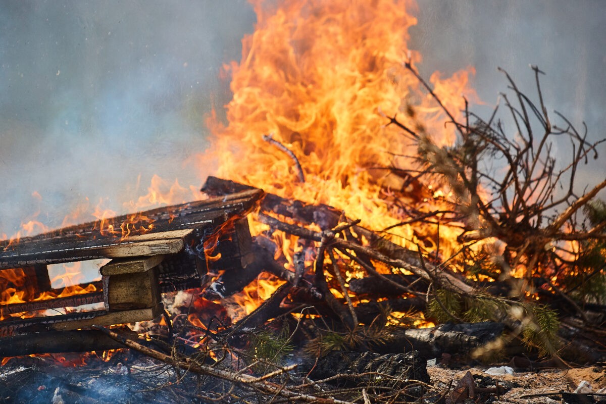 В Тверской области сотрудника местного лесничества опалило огнем