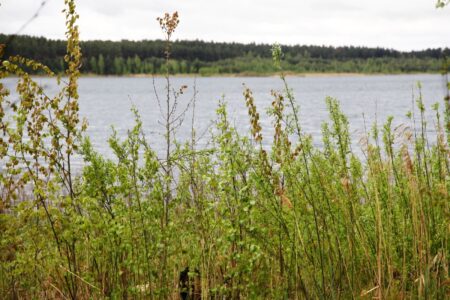 Следователи возбудили уголовное дело по факту гибели трёх детей в Тверской области Следователи возбудили уголовное дело по факту гибели трёх детей в Тверской области