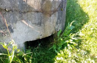 В Тверской области нашли ДОТ и уникальную надпись времен Великой Отечественной войны В Тверской области нашли ДОТ и уникальную надпись времен Великой Отечественной войны