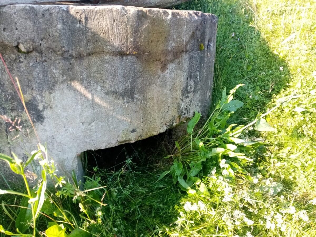 В Тверской области нашли ДОТ и уникальную надпись времен Великой Отечественной войны