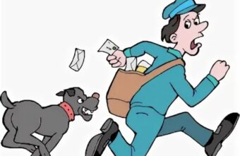 На почтальона в Тверской области напала собака