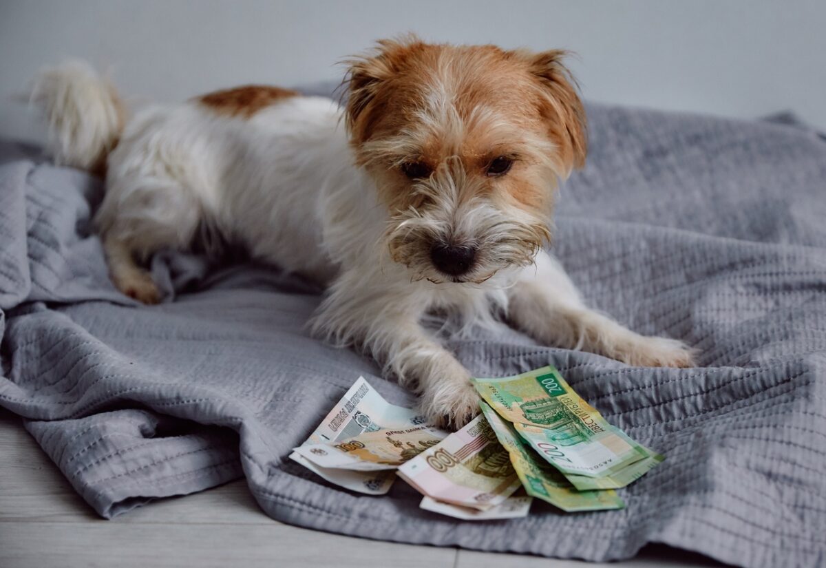 Кредиты, пенсии и штрафы для экскурсоводов: законы июля, которые изменят жизнь в Тверской области