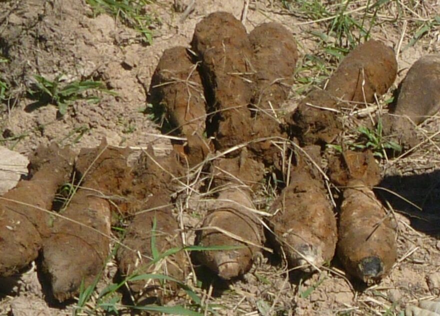 В Тверской области нашли 14 мин
