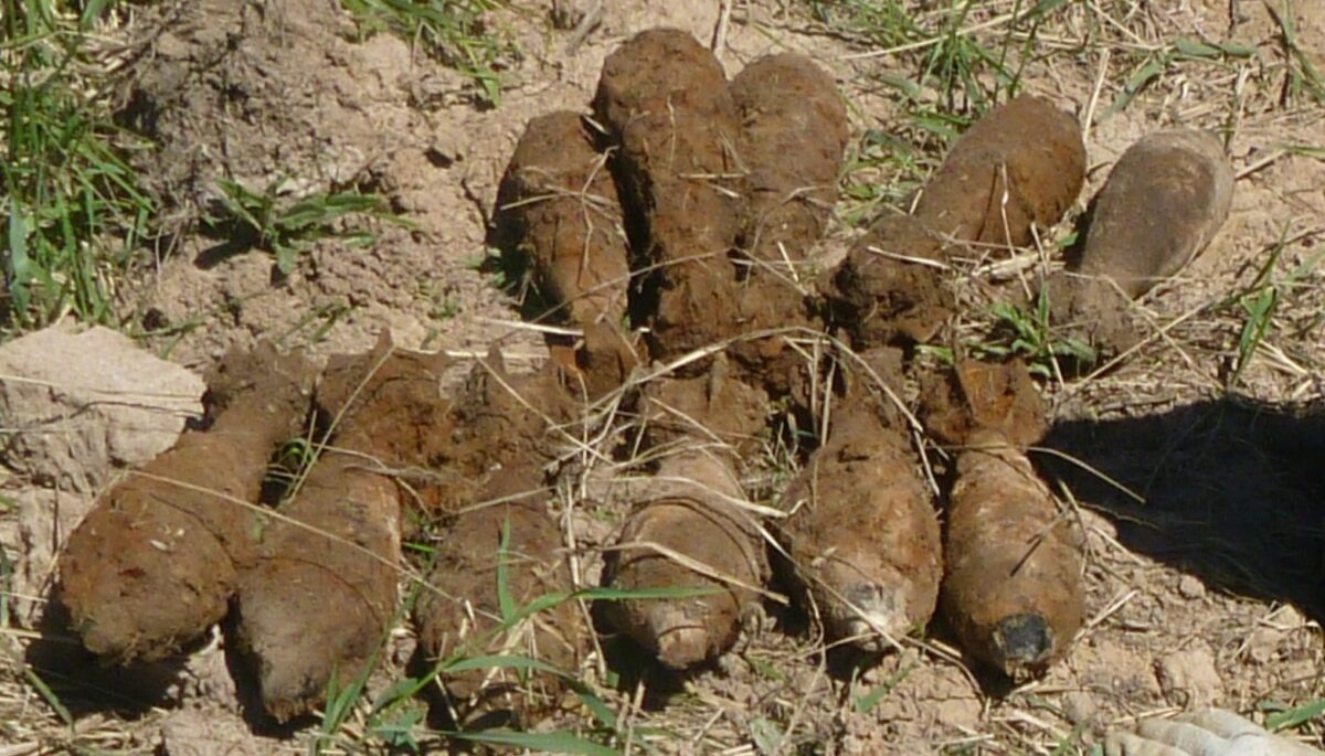 В Тверской области нашли 14 мин