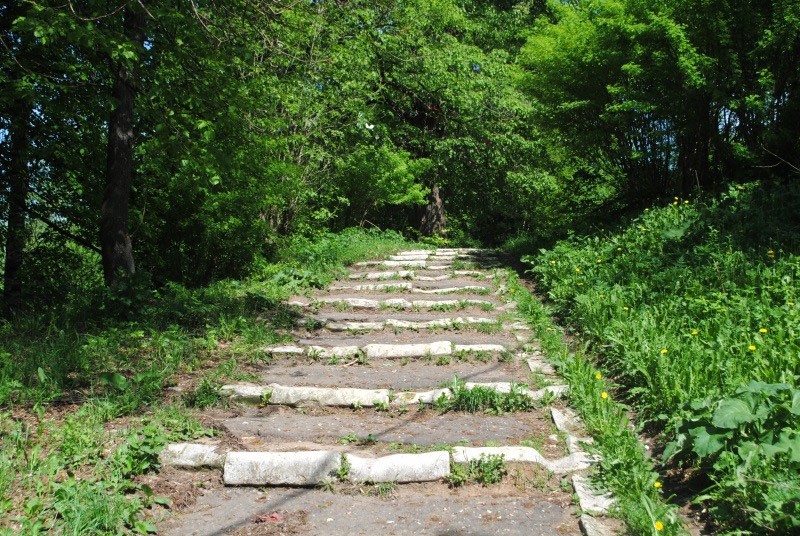 Необычная лестница в Тверской области могла бы привлечь толпы туристов