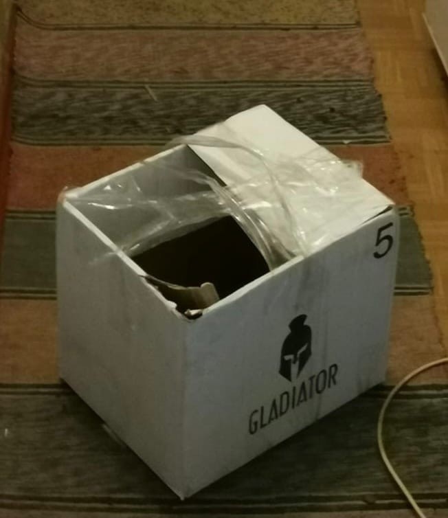 Неизвестные обрекли маленьких котят на смерть на жаре