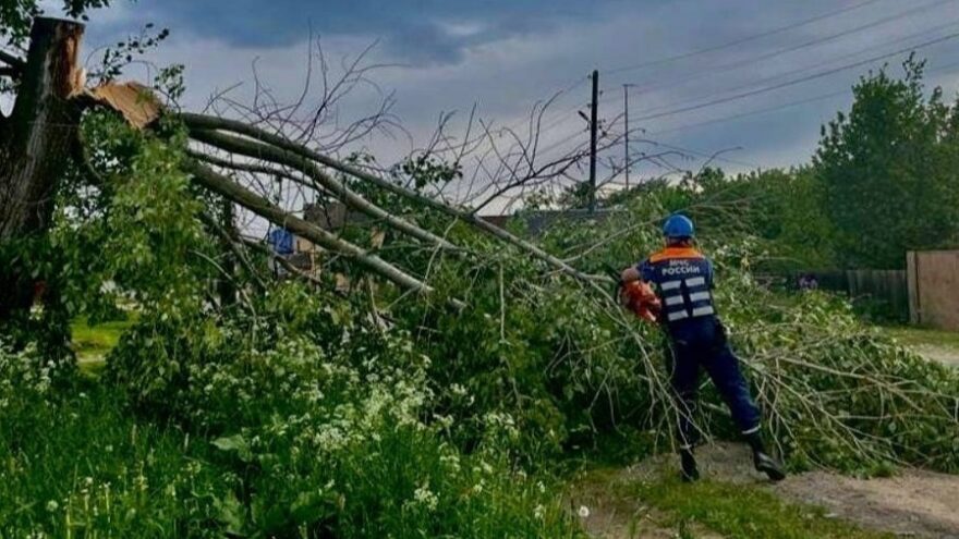 Спасатели убрали поваленные ветром деревья в Тверской области Спасатели убрали поваленные ветром деревья в Тверской области