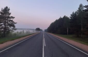 Ночью на трассе в Тверской области столкнулись лось и автомобиль