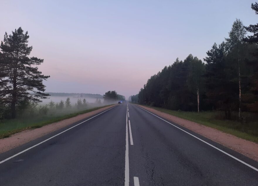 Ночью на трассе в Тверской области столкнулись лось и автомобиль Ночью на трассе в Тверской области столкнулись лось и автомобиль