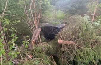 Автомобиль «слетел» с грунтовки и врезался в дерево в Тверской области Автомобиль «слетел» с грунтовки и врезался в дерево в Тверской области