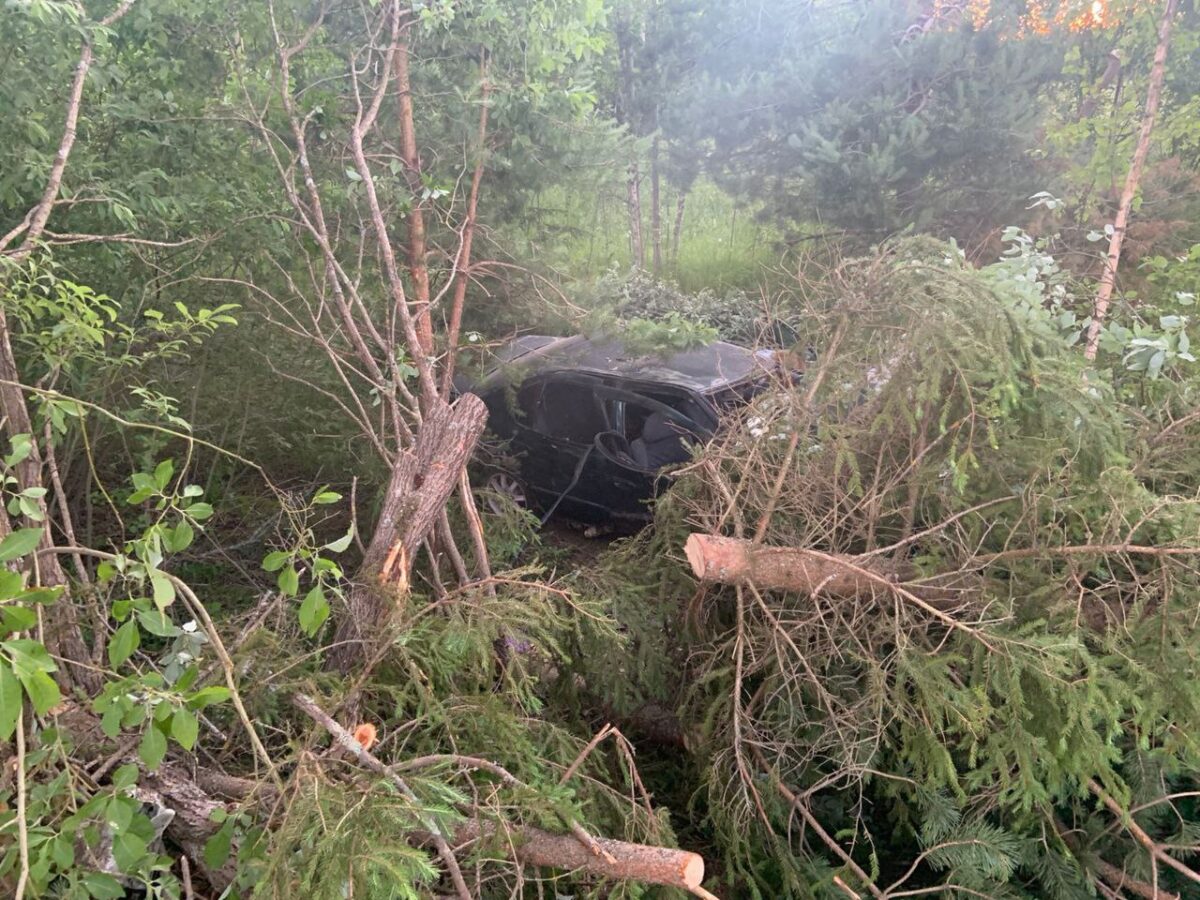 Автомобиль «слетел» с грунтовки и врезался в дерево в Тверской области