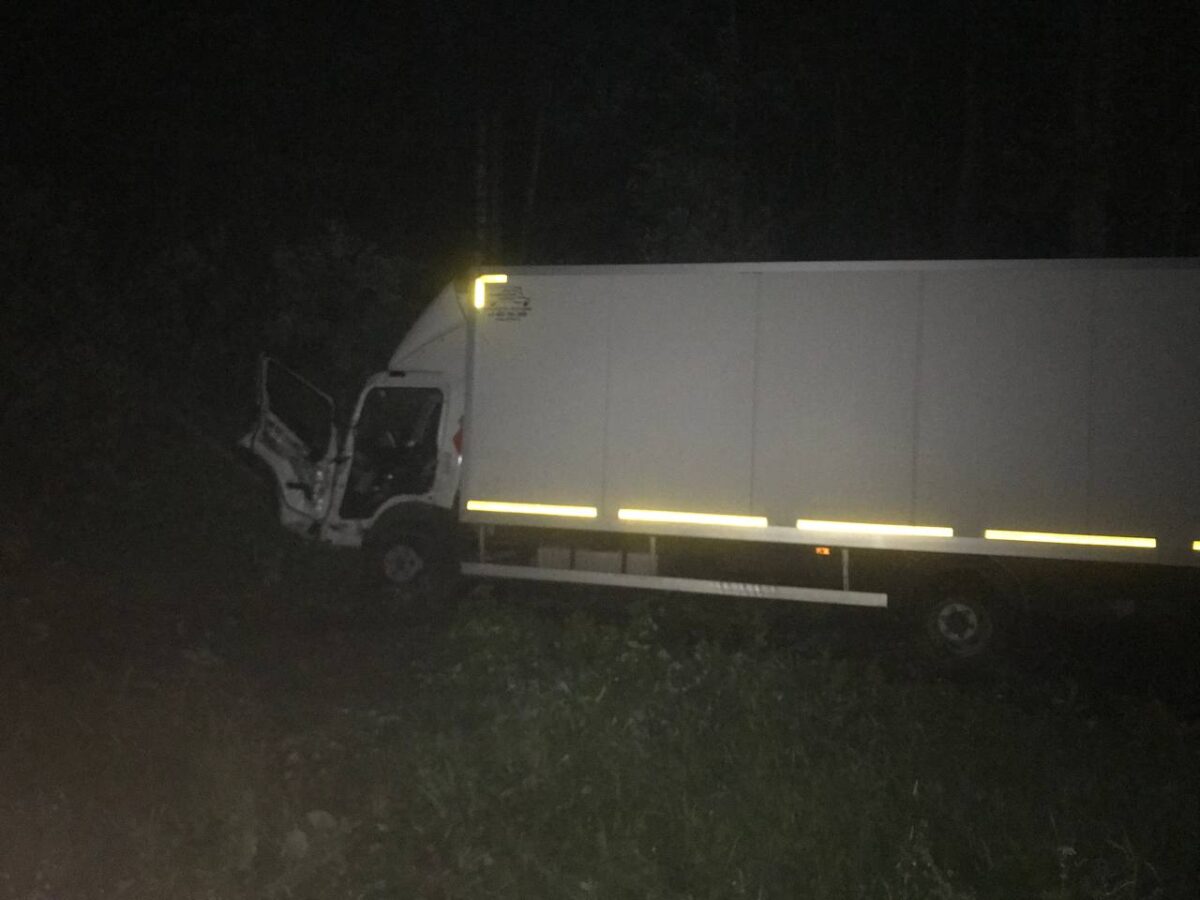 На трассе М-10 в Тверской области «встретились» лось и большегруз