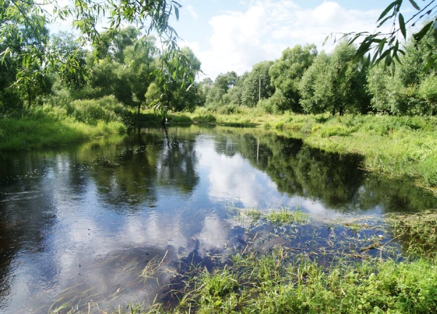В Тверской области утонул 19-летний парень