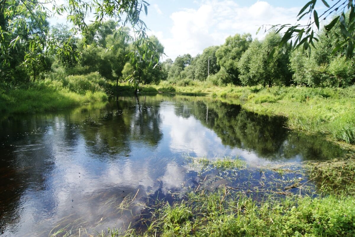В Тверской области утонул 19-летний парень